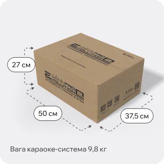 Караоке-система Evolution Pro2